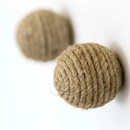 Calmo Singular Apartamento